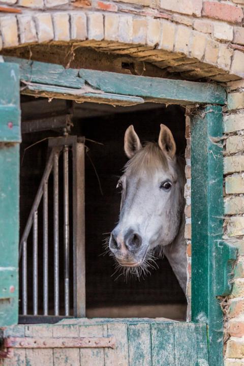 アーズブルック Gite De La Ferme Des Crins Blancsヴィラ エクステリア 写真